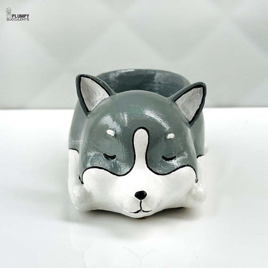 Dog Planter