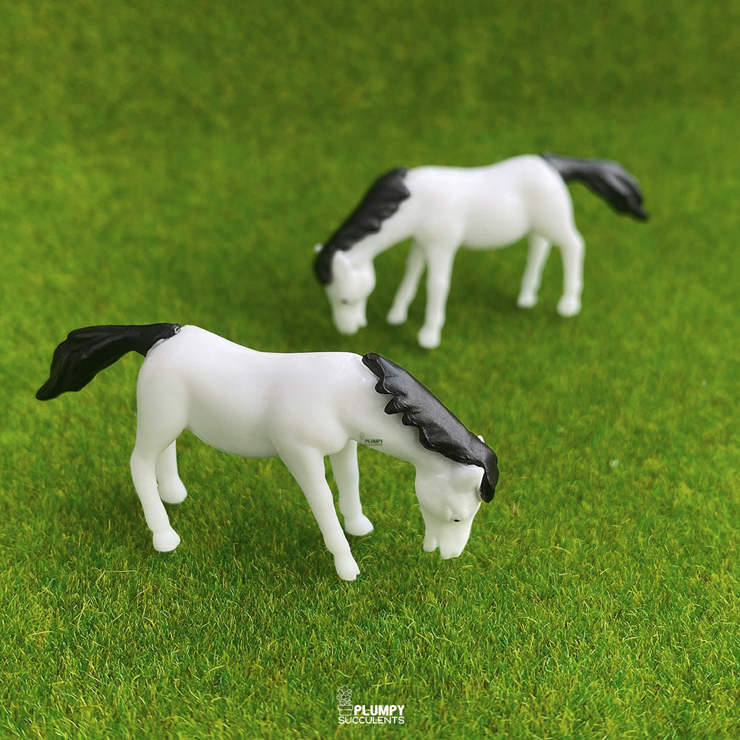 White Horse