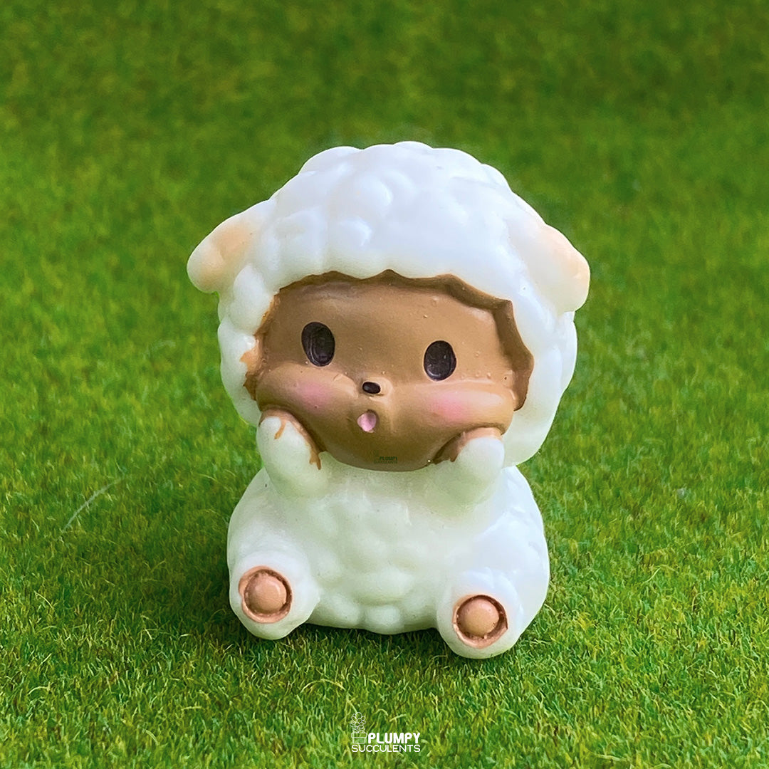 Sheep