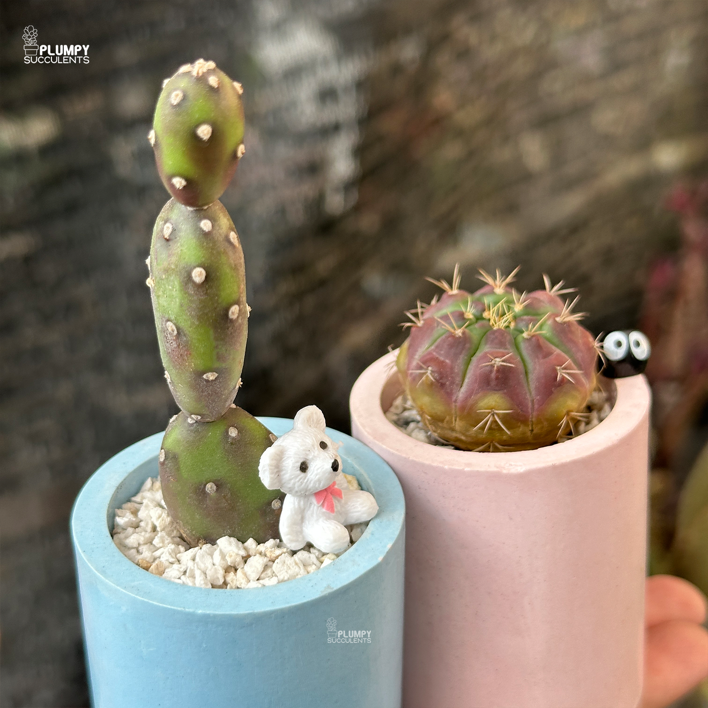 Desert Duo: Perfect for Pairs