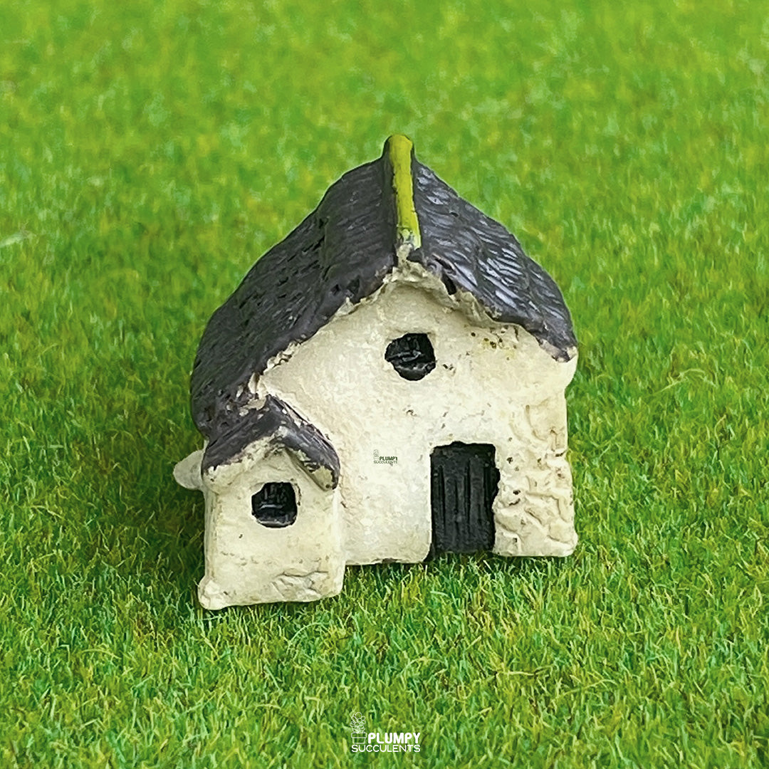 Small House