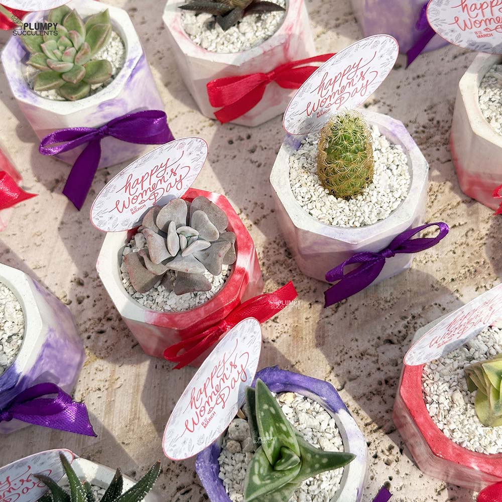 Women's Day - Mini Corporate Giveaways
