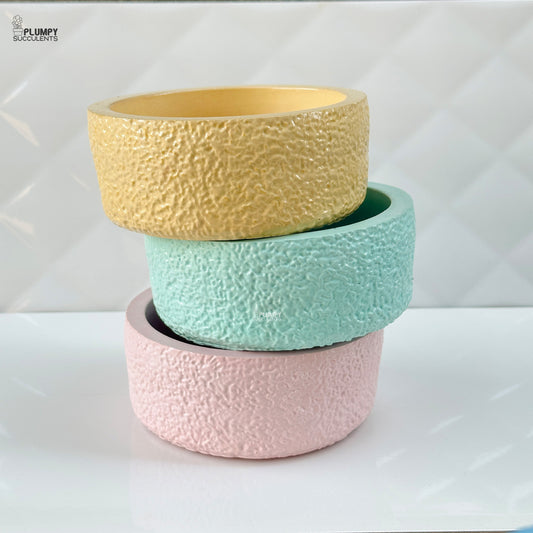 Rustic Planter (5 Inch)