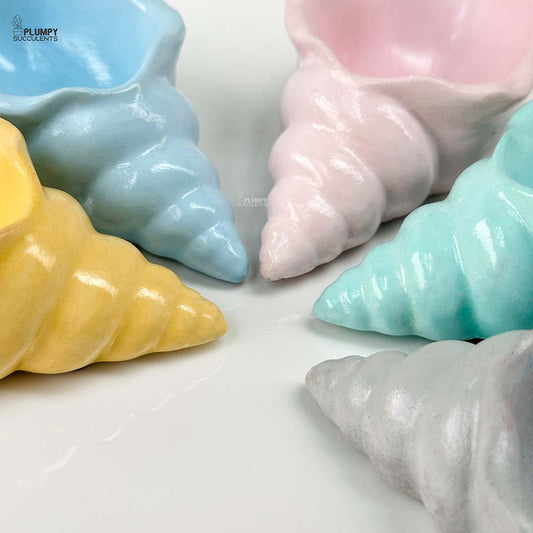 Shell Planter (4 Inch)