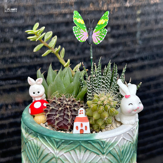 Succulent Garden (Rabbit's Heaven)