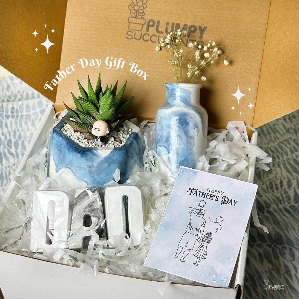 father's day succulents Fathers's Day Gift Set