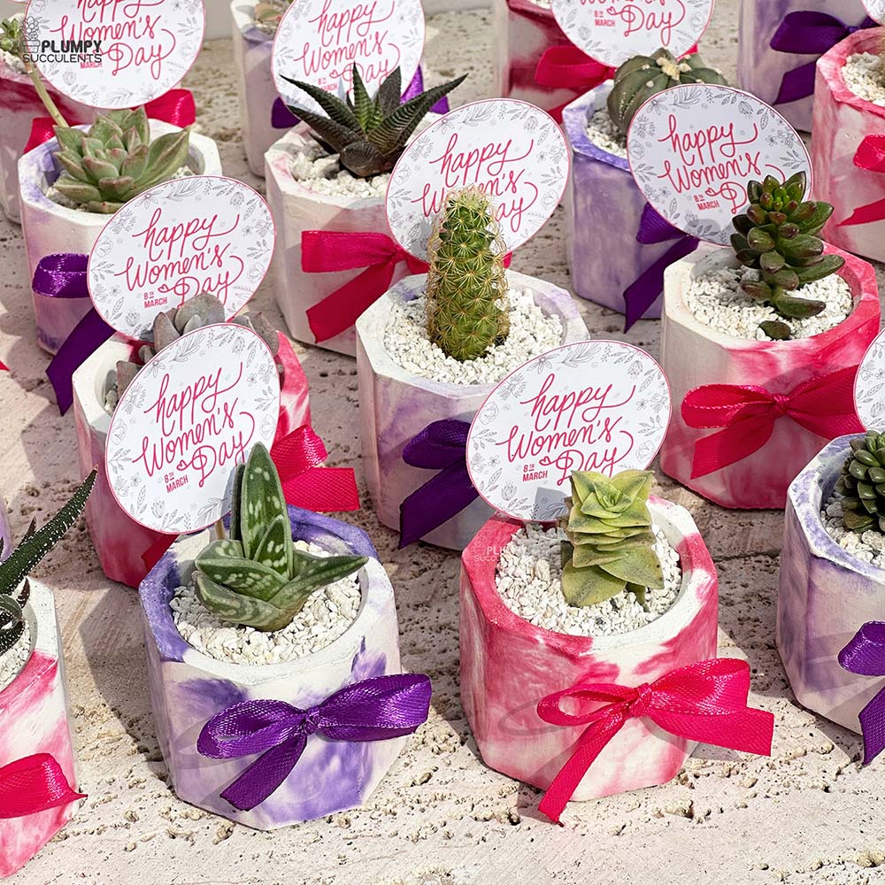 Women's Day - Mini Corporate Giveaways