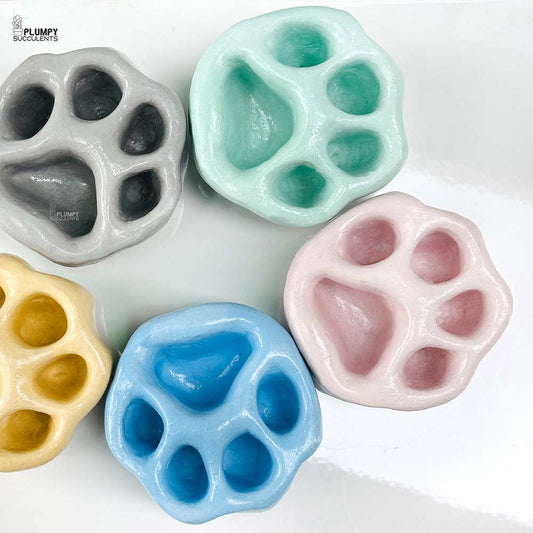 Paw Planter (4 Inch)