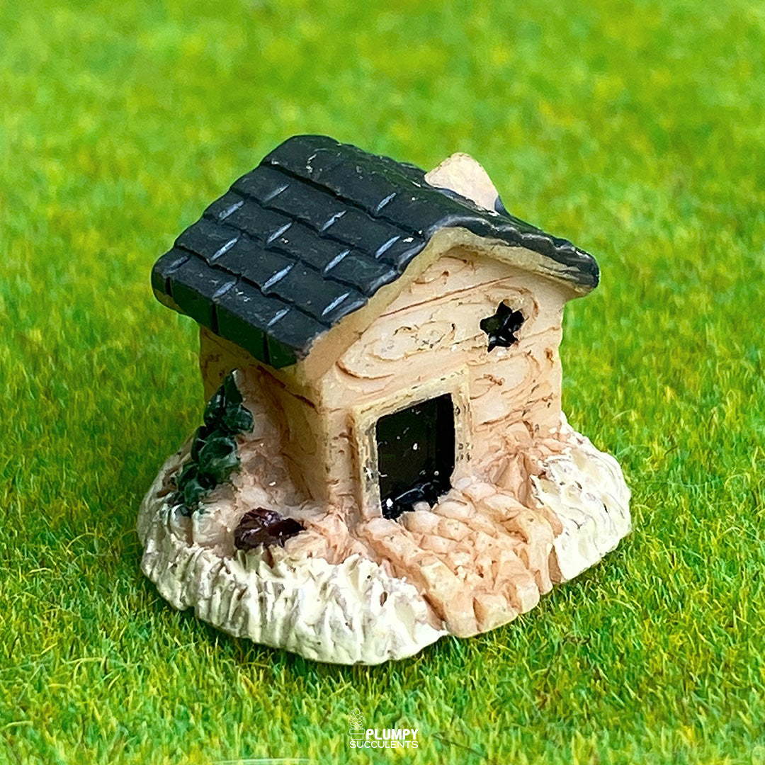 Rustic House