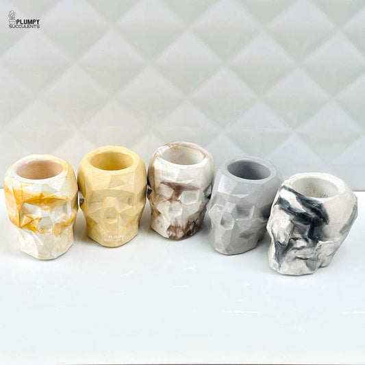 Skull Planter (4 Inch)