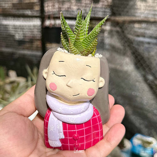 Haworthia Fairy Washboard in cosmic pink Girl planter
