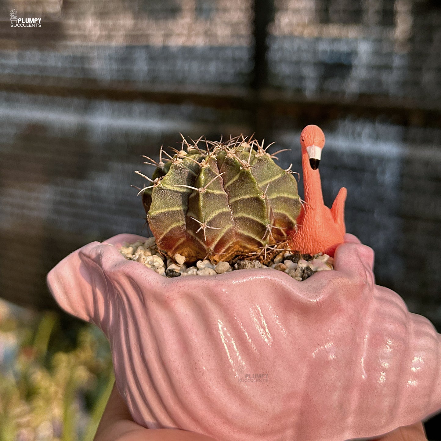 Cactus in a pink shell pot with a flamingo figurine on top, against a blurred natural background.