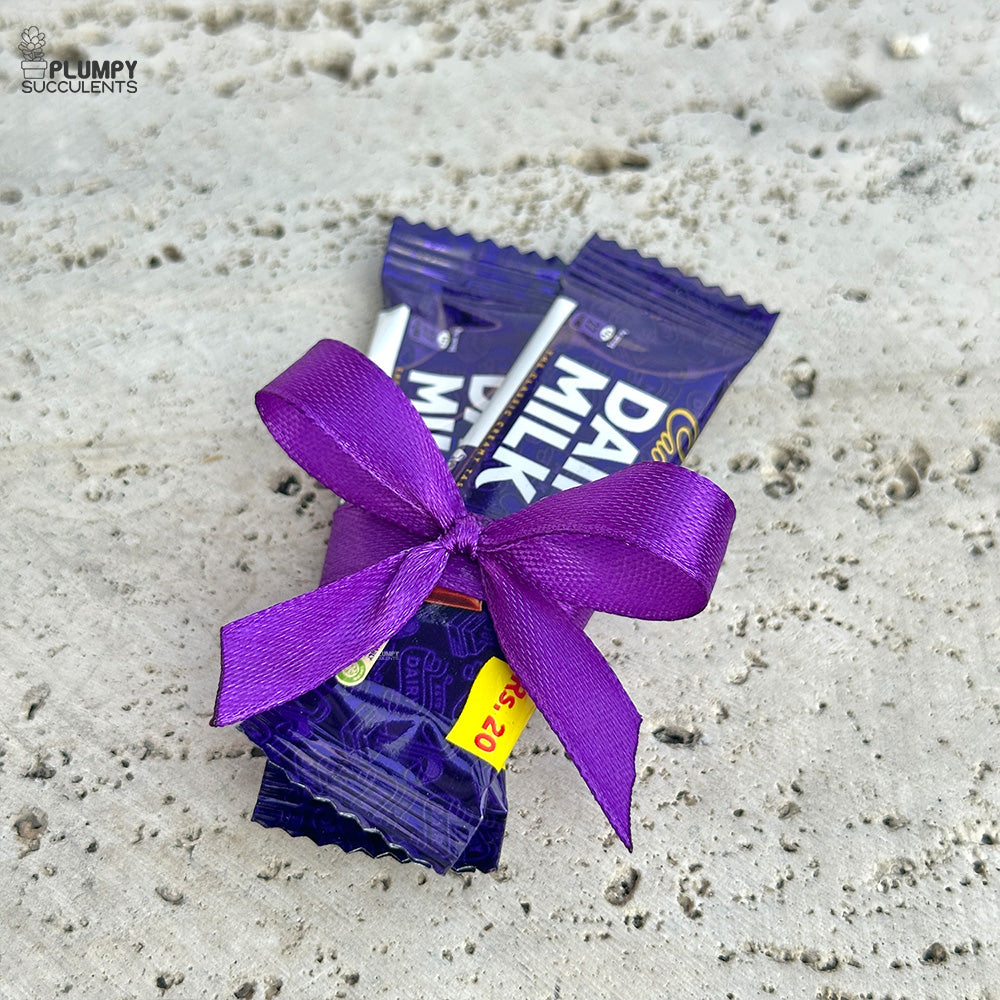 Chocolates - Women's Day Special