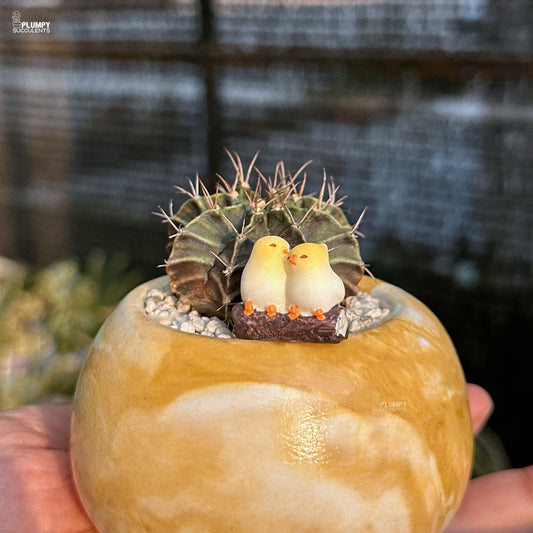 Decorative cactus with small bird figures on a stone base held by a hand.