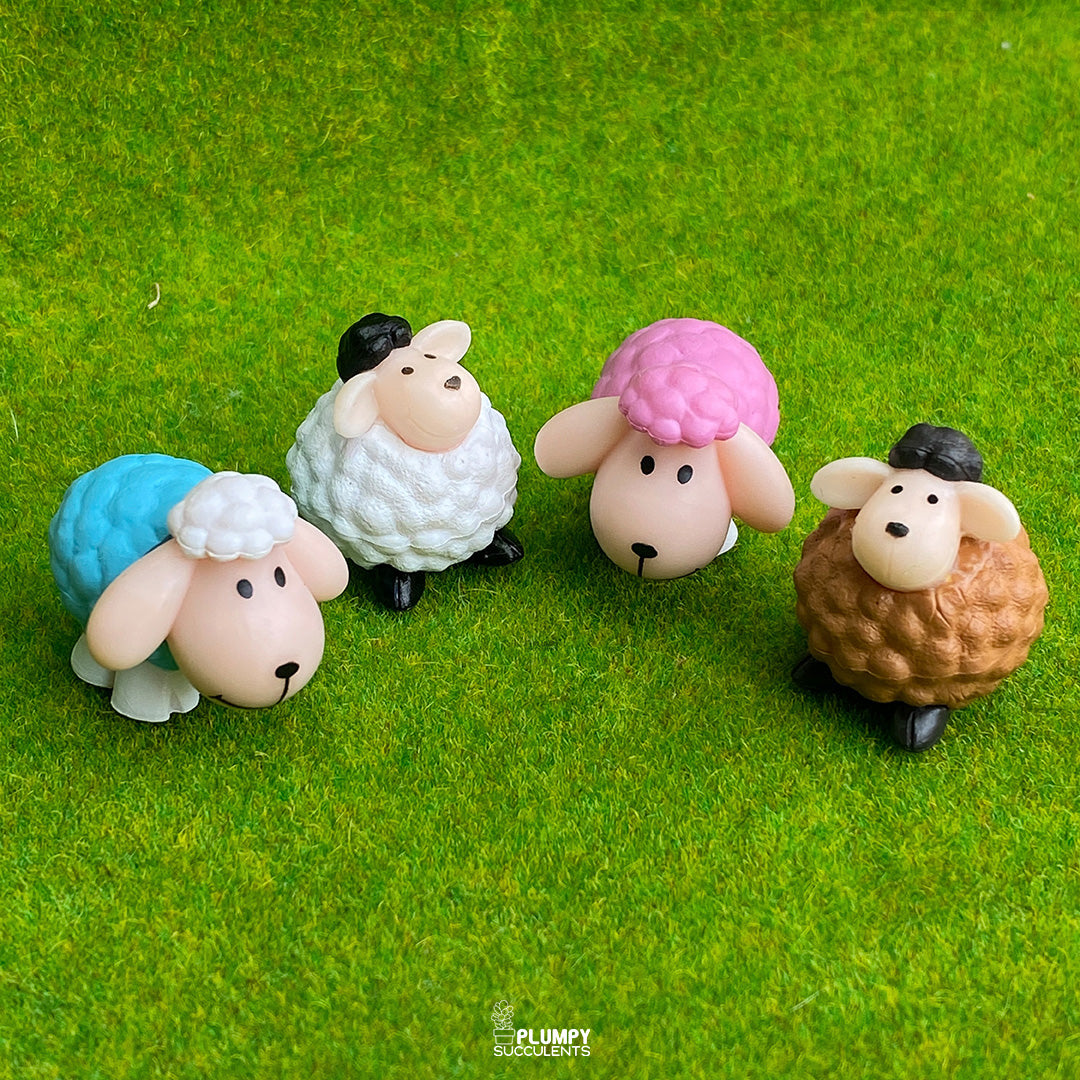 Sheep
