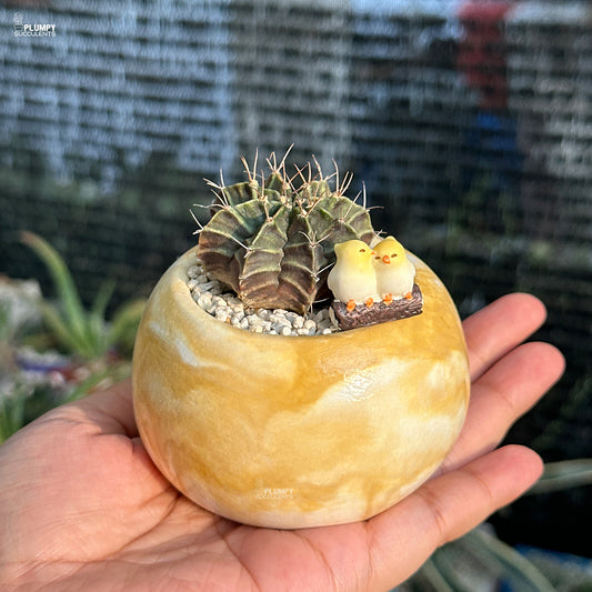 Small cactus in a decorative pot held in a hand with a blurred background