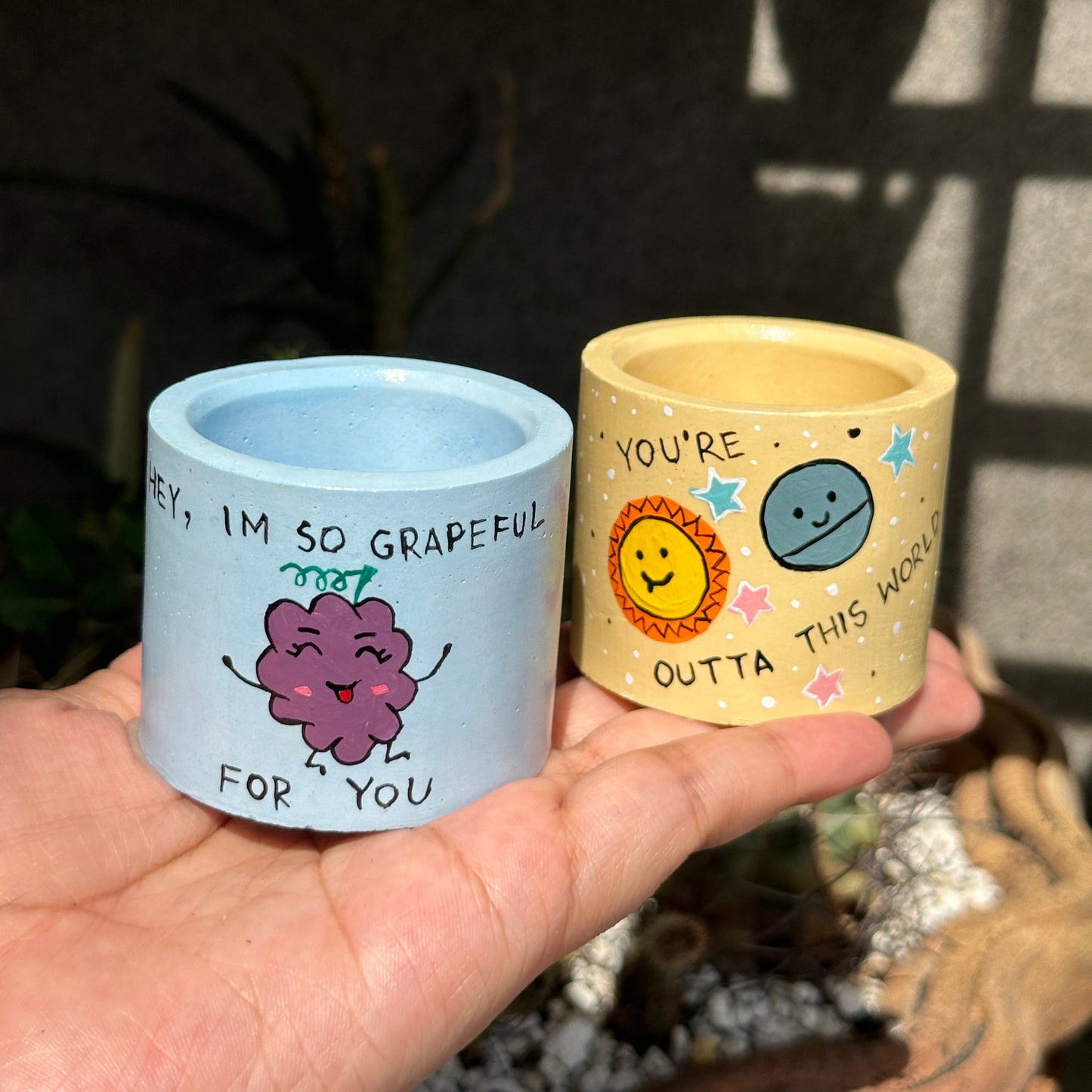 Painted Planters (Indoor Plants)