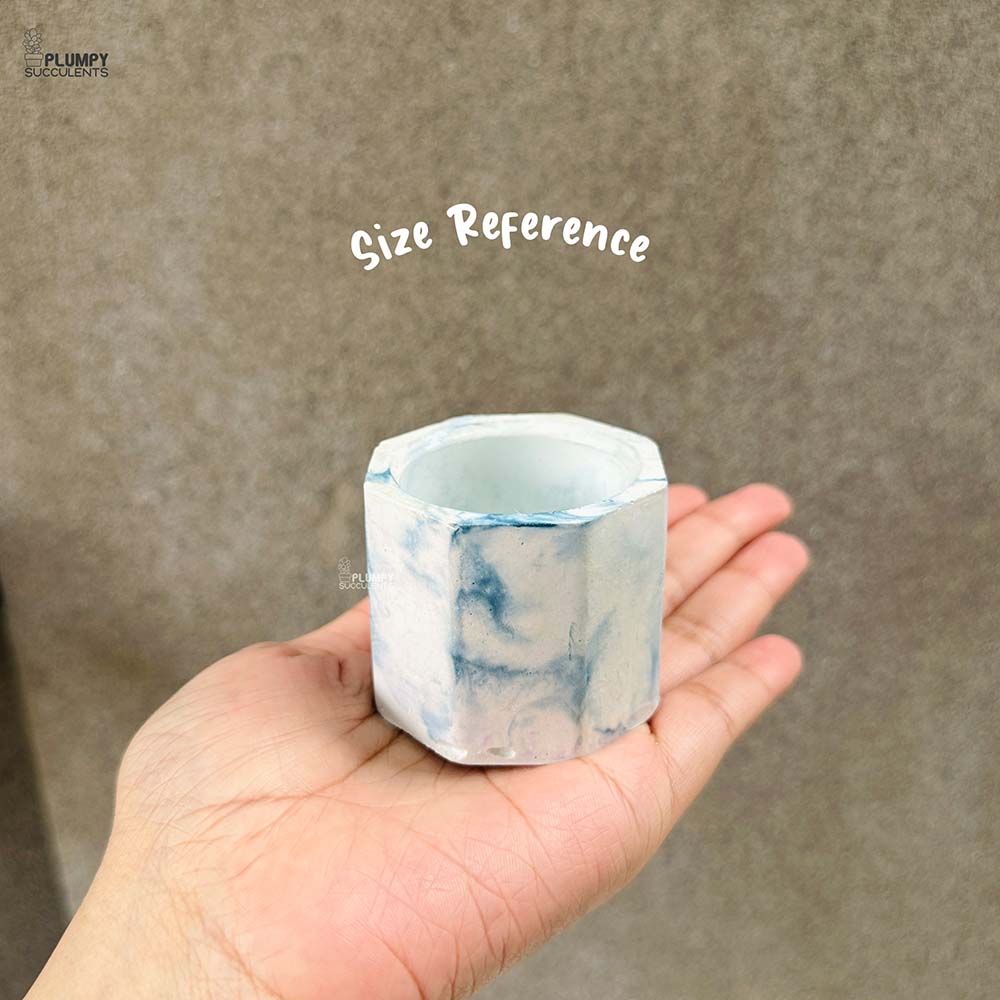 Octagonal Planter (2 Inch)