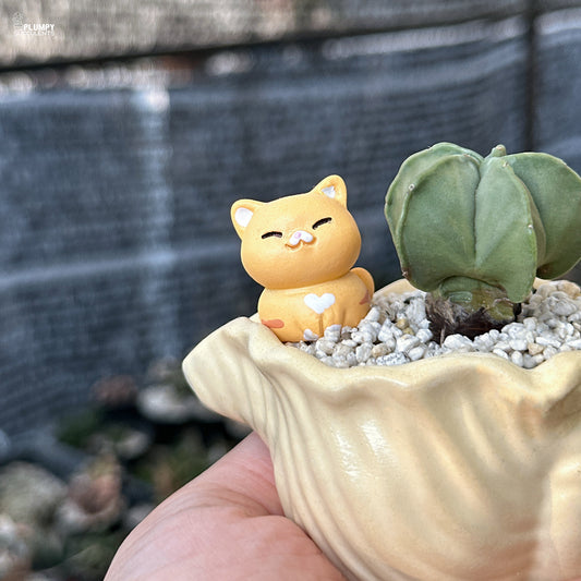 Small orange cat figurine in a shell with a cactus plant on a blurred background