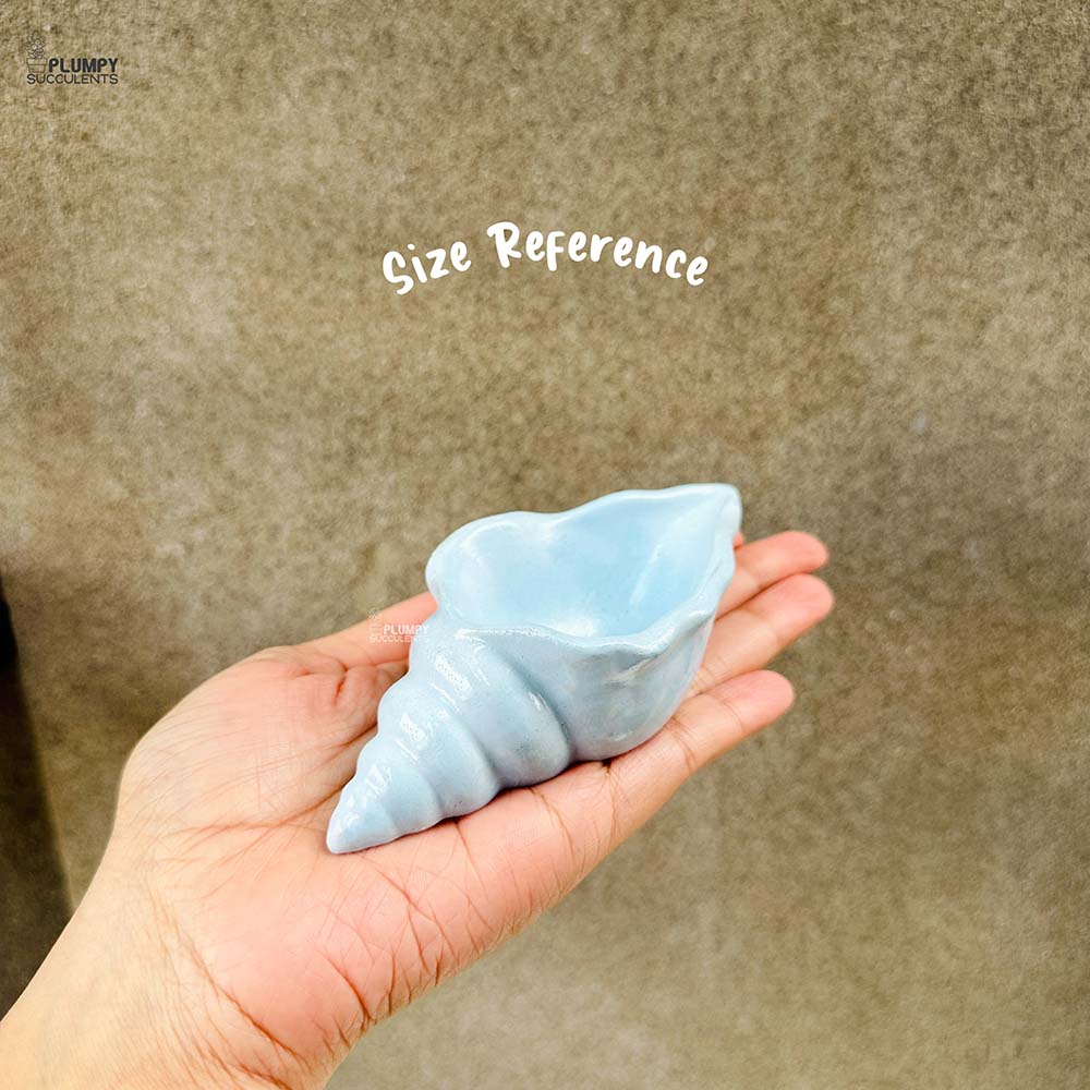 Shell Planter (4 Inch)