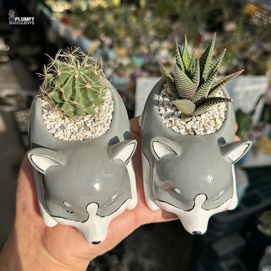 Dog Planters (Set of 2)