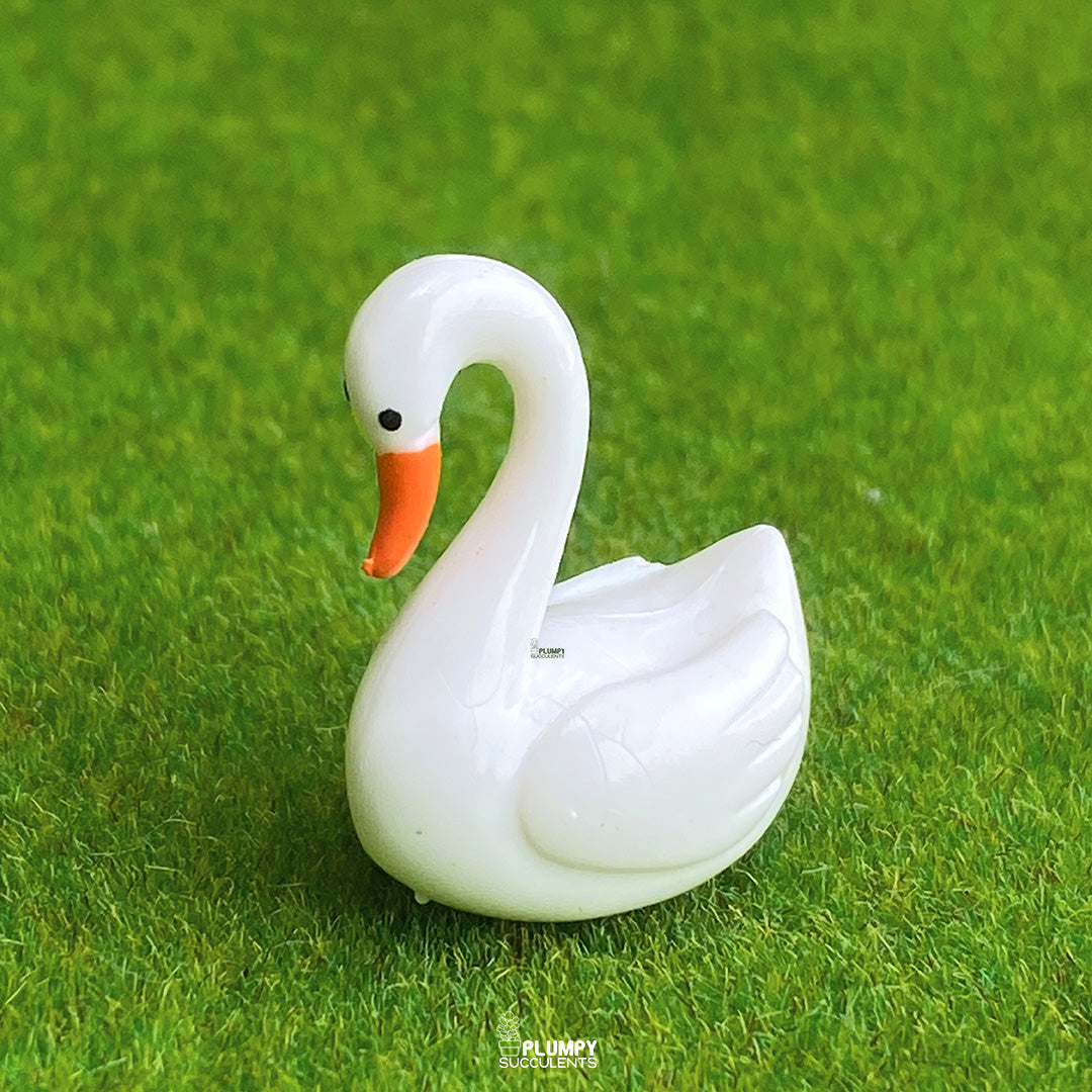 Love Swan