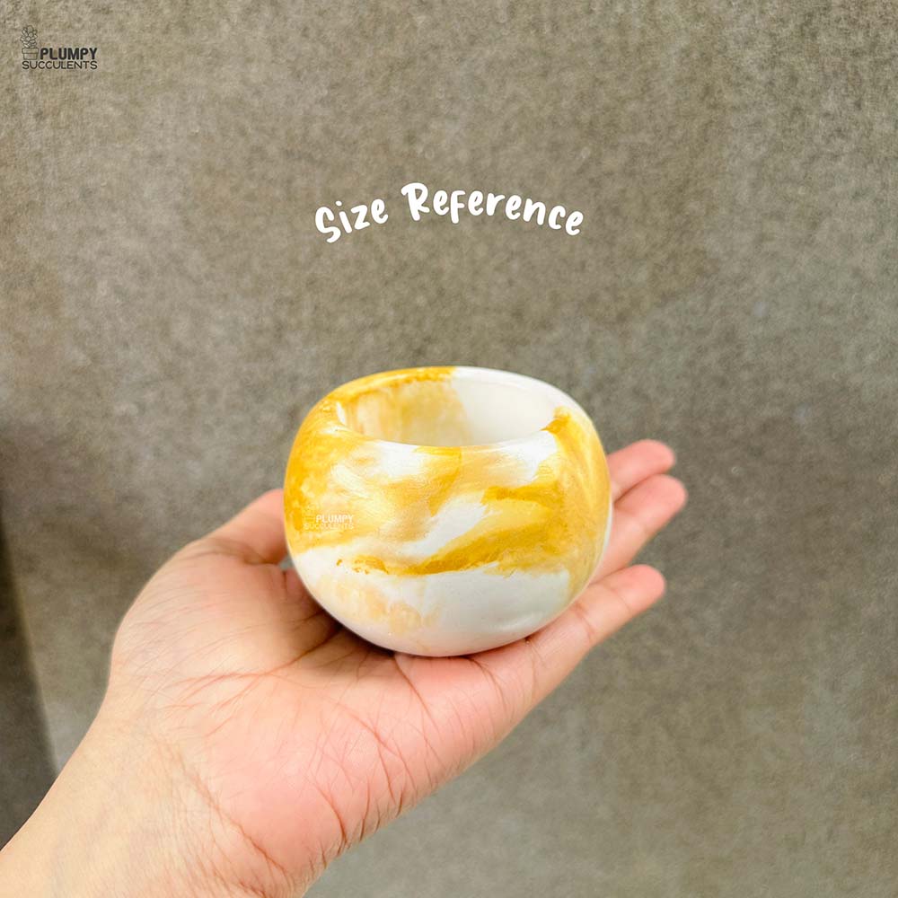 Round Planter (3 Inch)