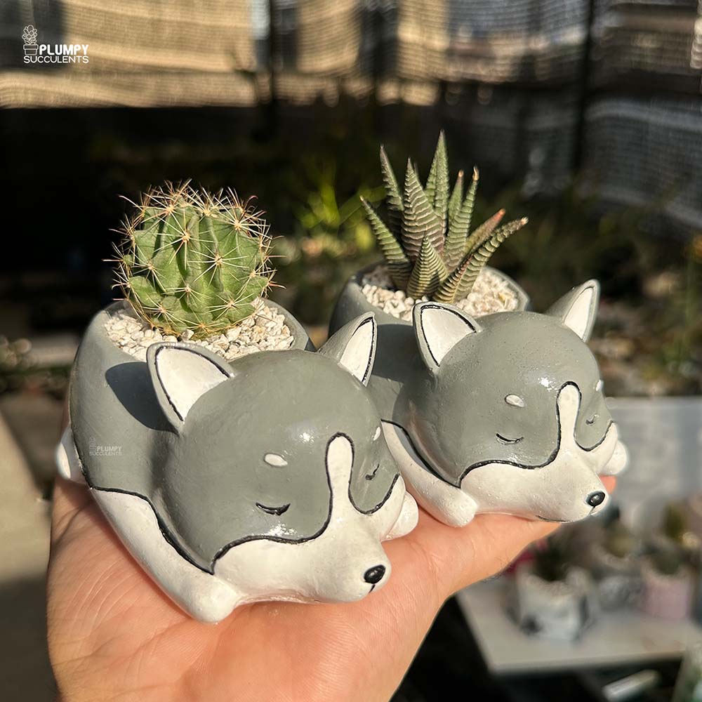 Dog Planters (Set of 2)