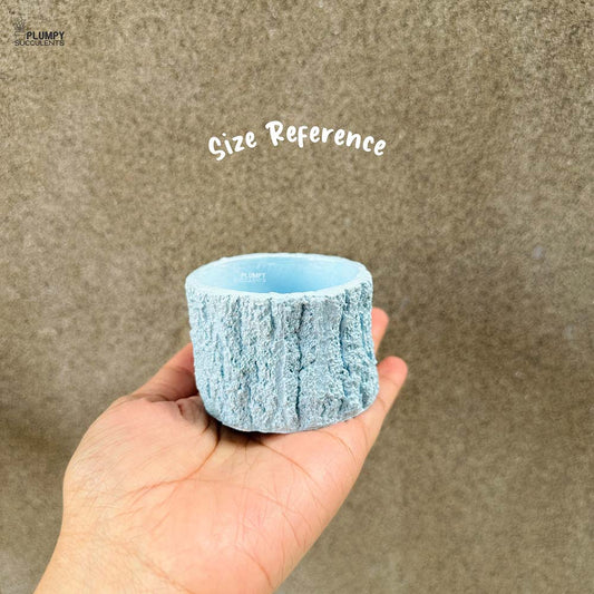 Bark Planter (3 Inch)