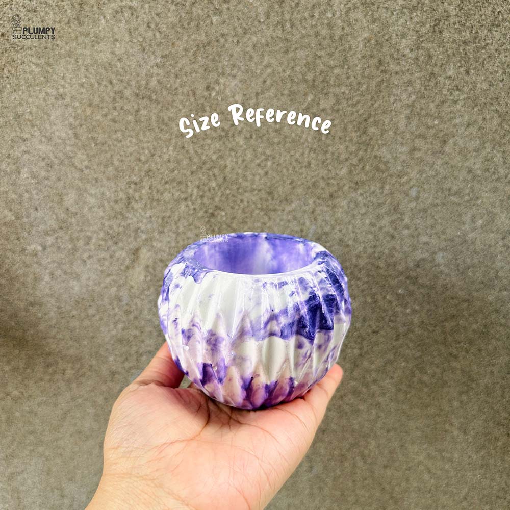 Geometric Round Planter (4 Inch)