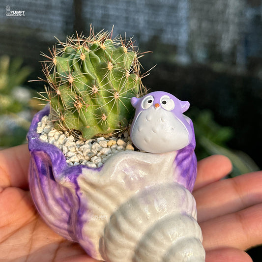 Cactus in a decorative pot with a purple owl design held by a hand.