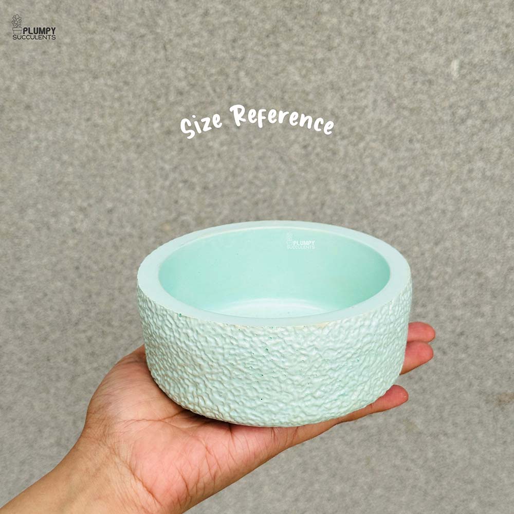 Rustic Planter (5 Inch)