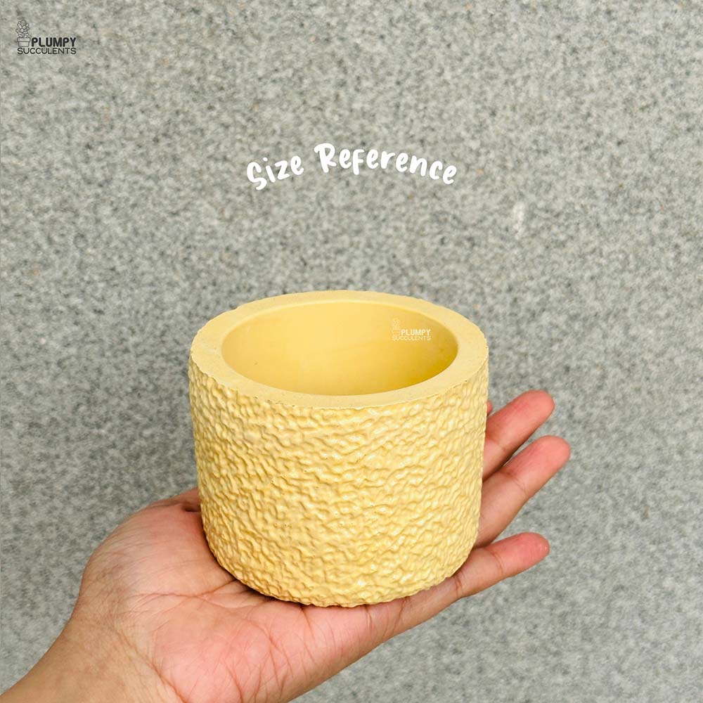 Rustic Planter (4 Inch)