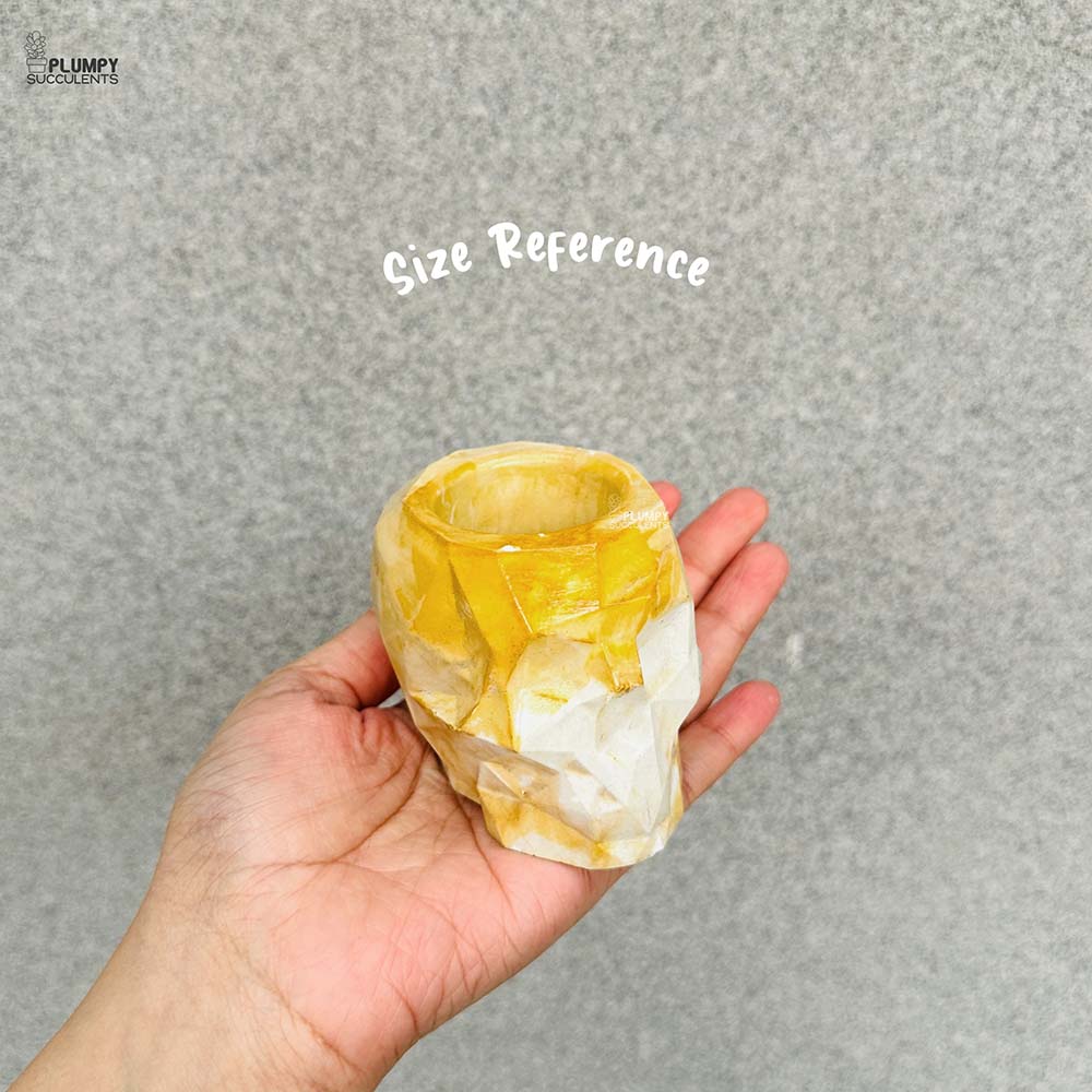 Skull Planter (4 Inch)