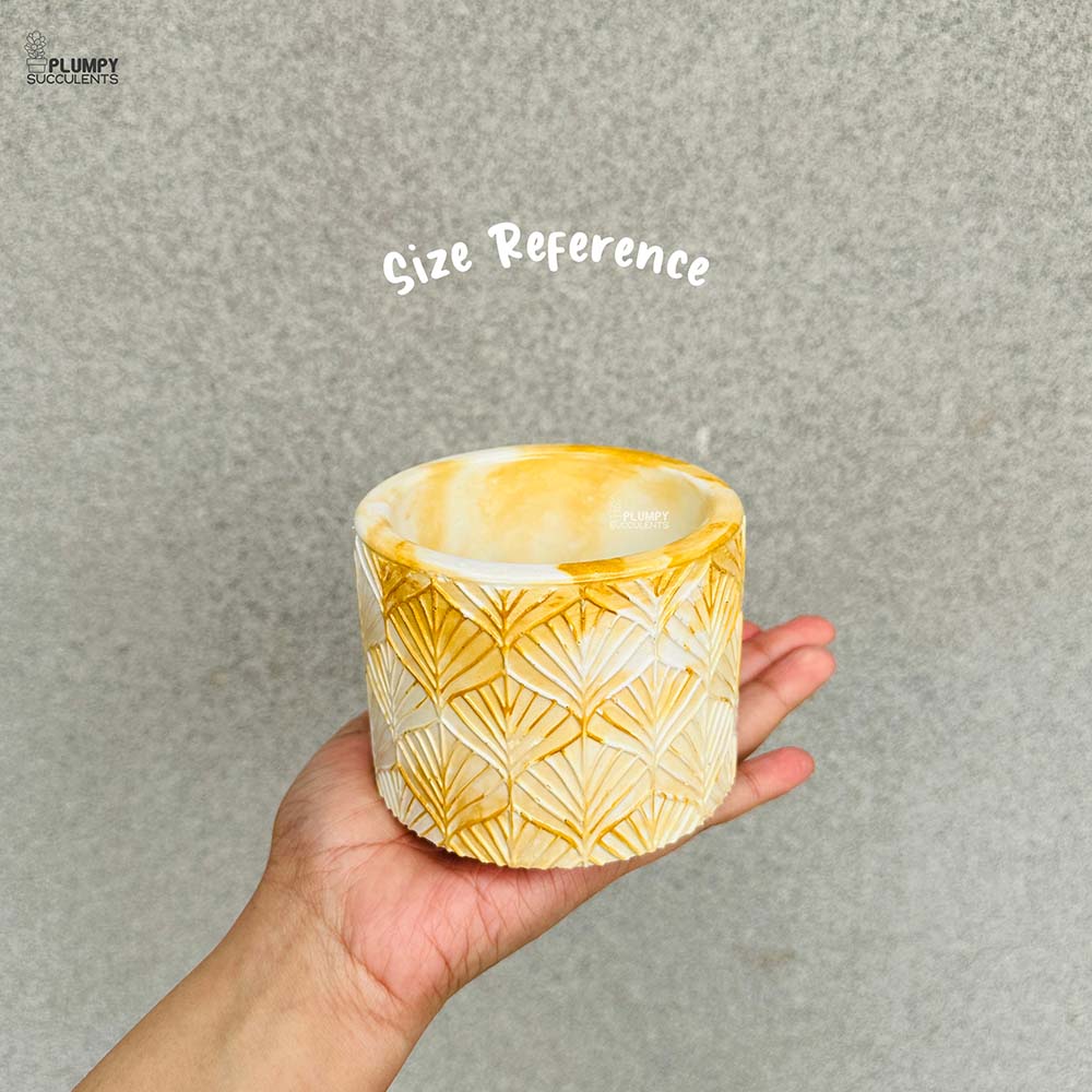 Textured Round Planter (4 Inch)