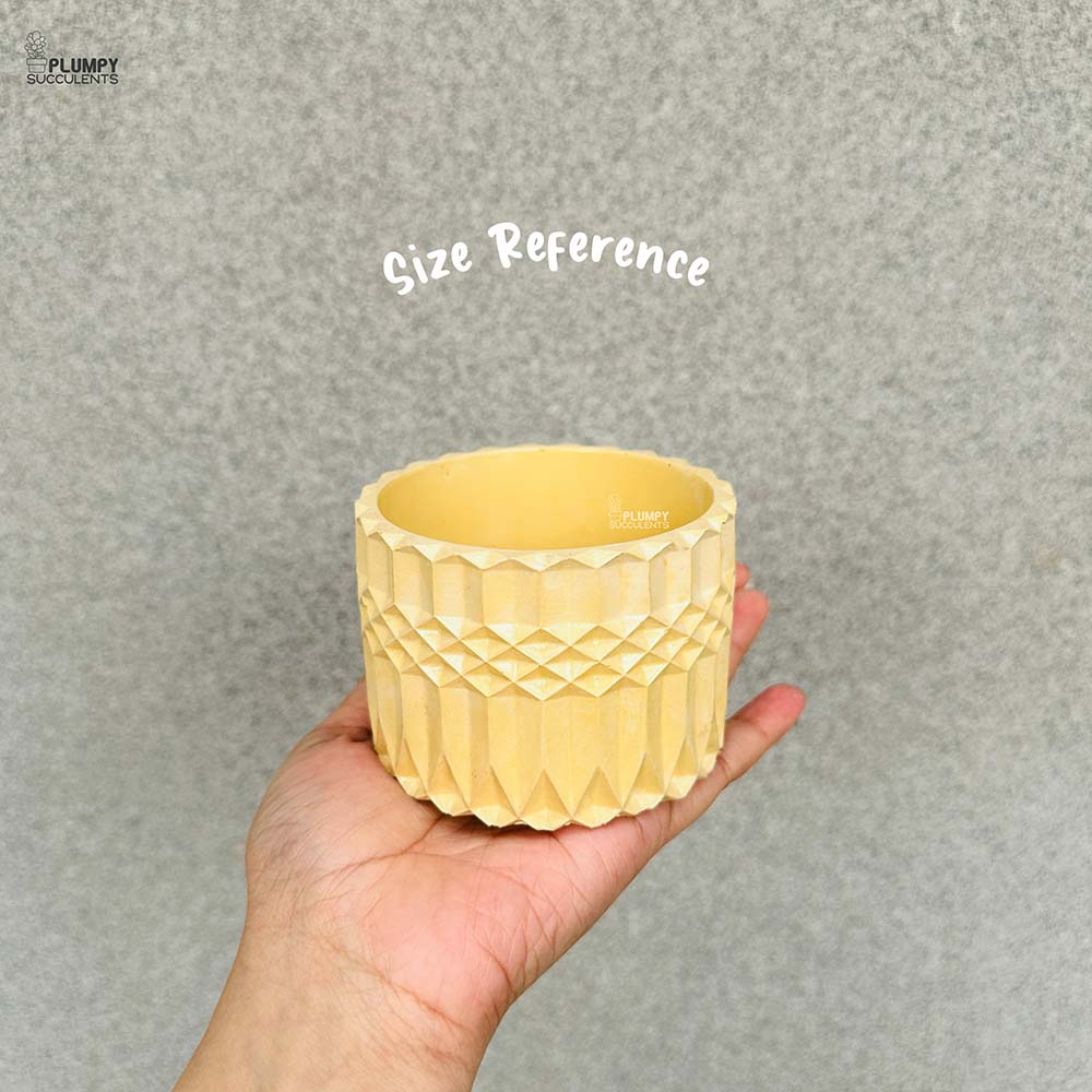 Geometric Round Planter (4 Inch)