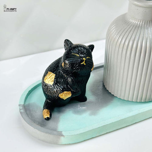 Concrete Gift Bundle