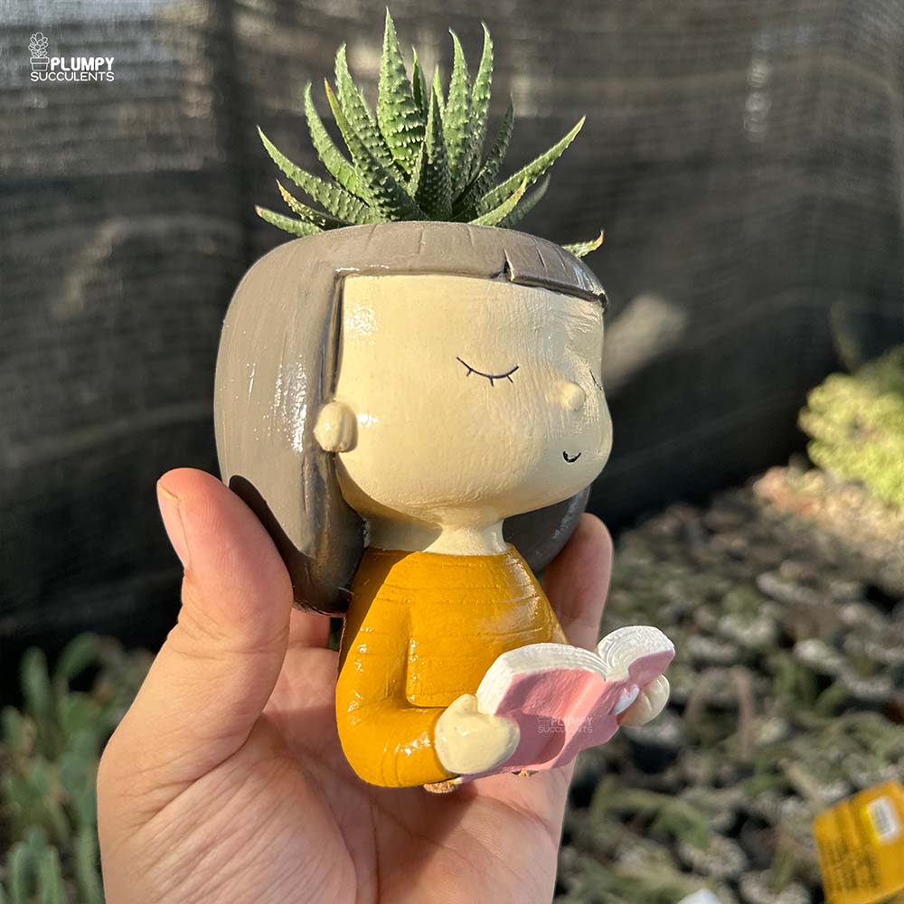 Haworthia Pumila in Girl Reading Book Planter