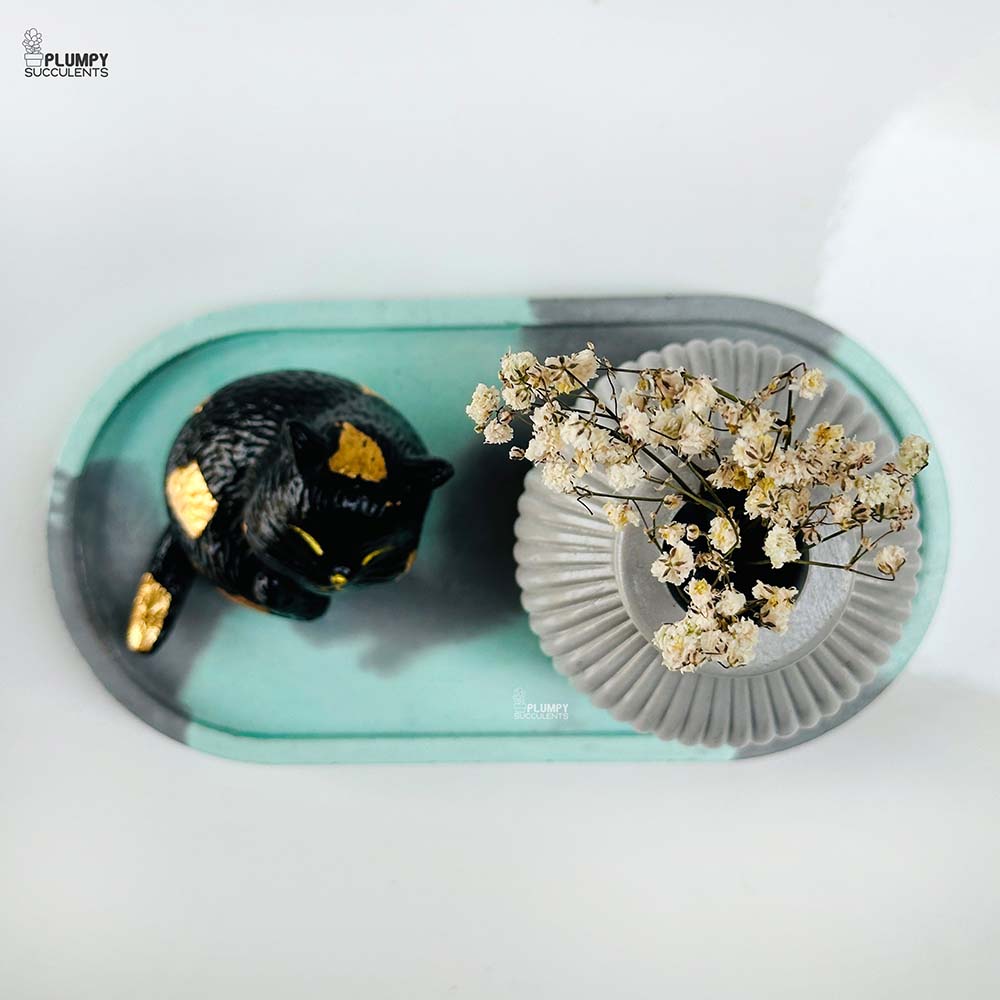 Concrete Gift Bundle