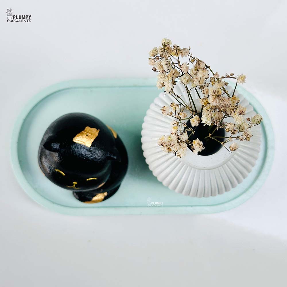 Concrete Gift Bundle