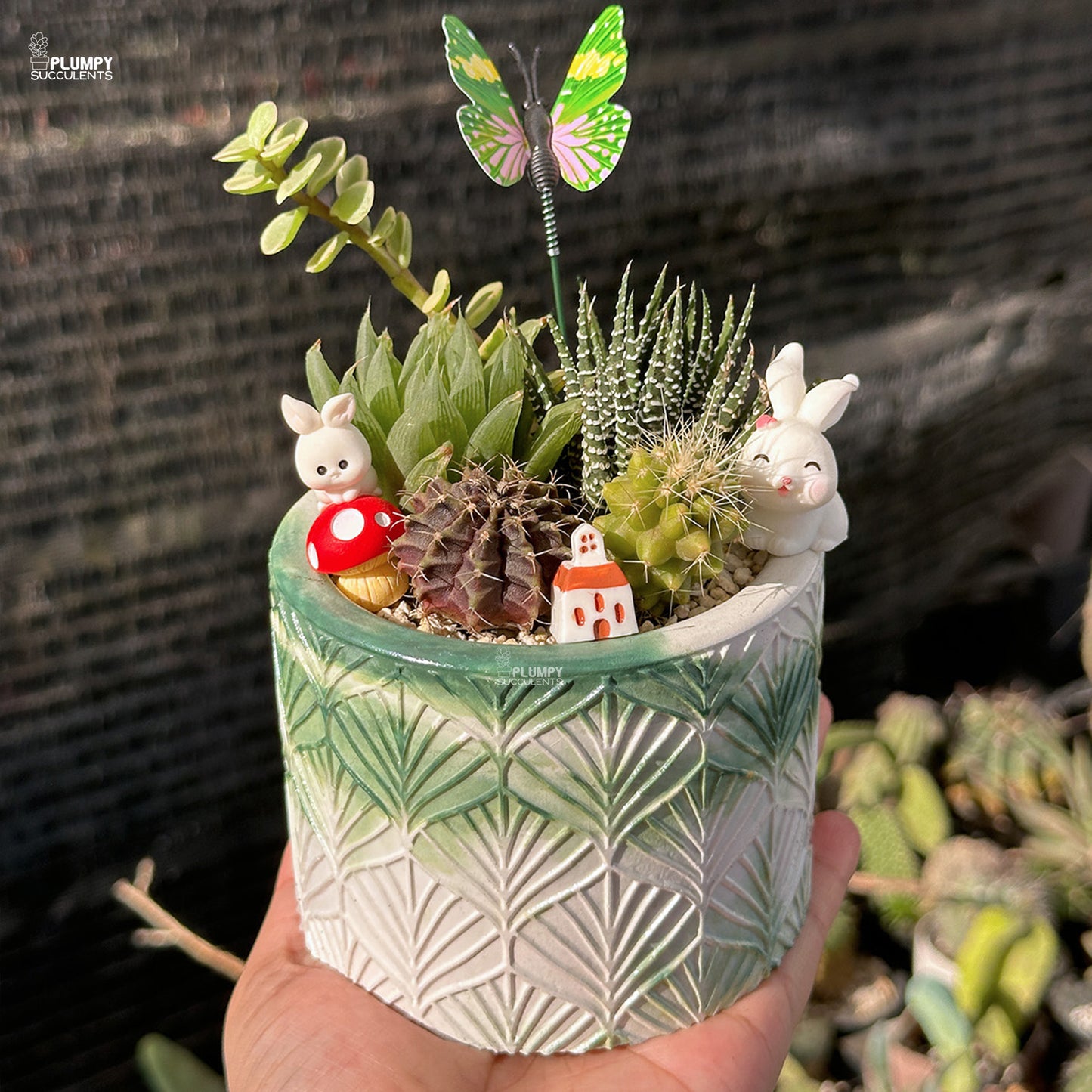 Succulent Garden (Rabbit's Heaven)