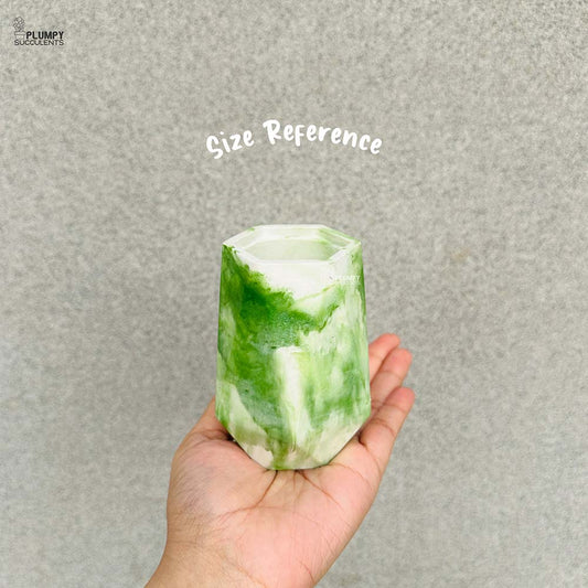 Long Octagonal Planter (5 Inch)