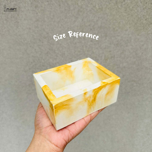 Rectangular Planter (5 Inch)