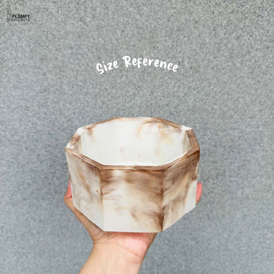 Octagonal Planter (6 Inch)