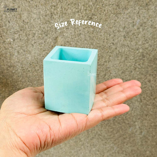 Square Planter (2 Inch)