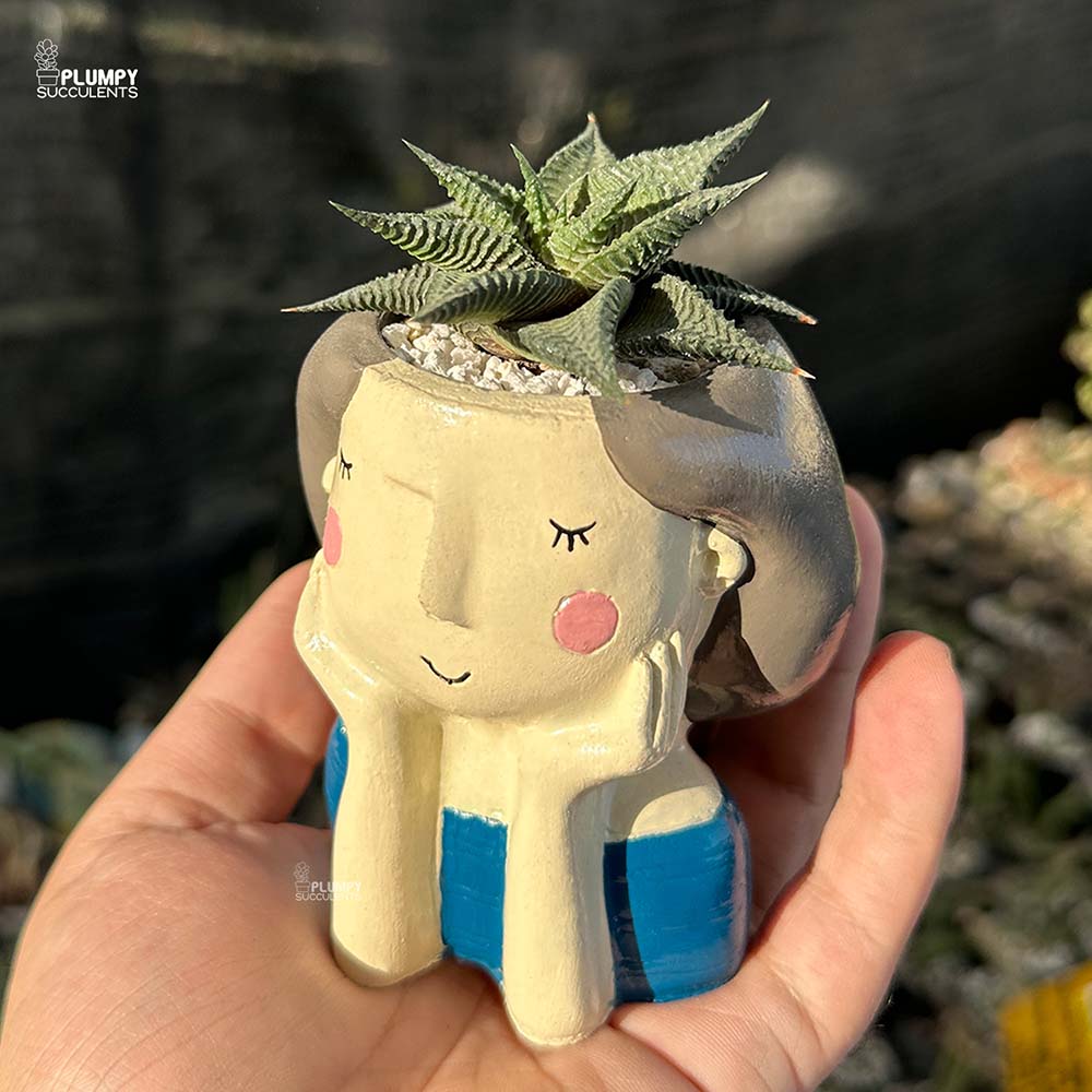 Haworthia Limifolia in Girl with Hands on Face Planter