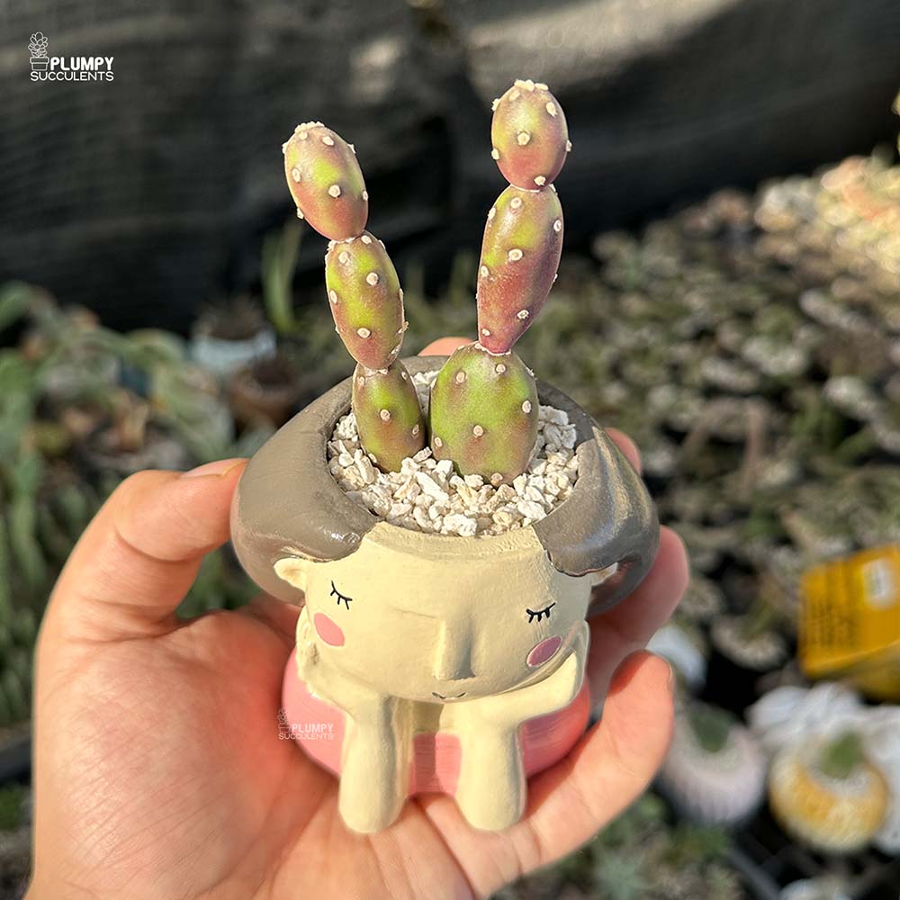 Purple Opuntia in Girl with Hands on Face Planter