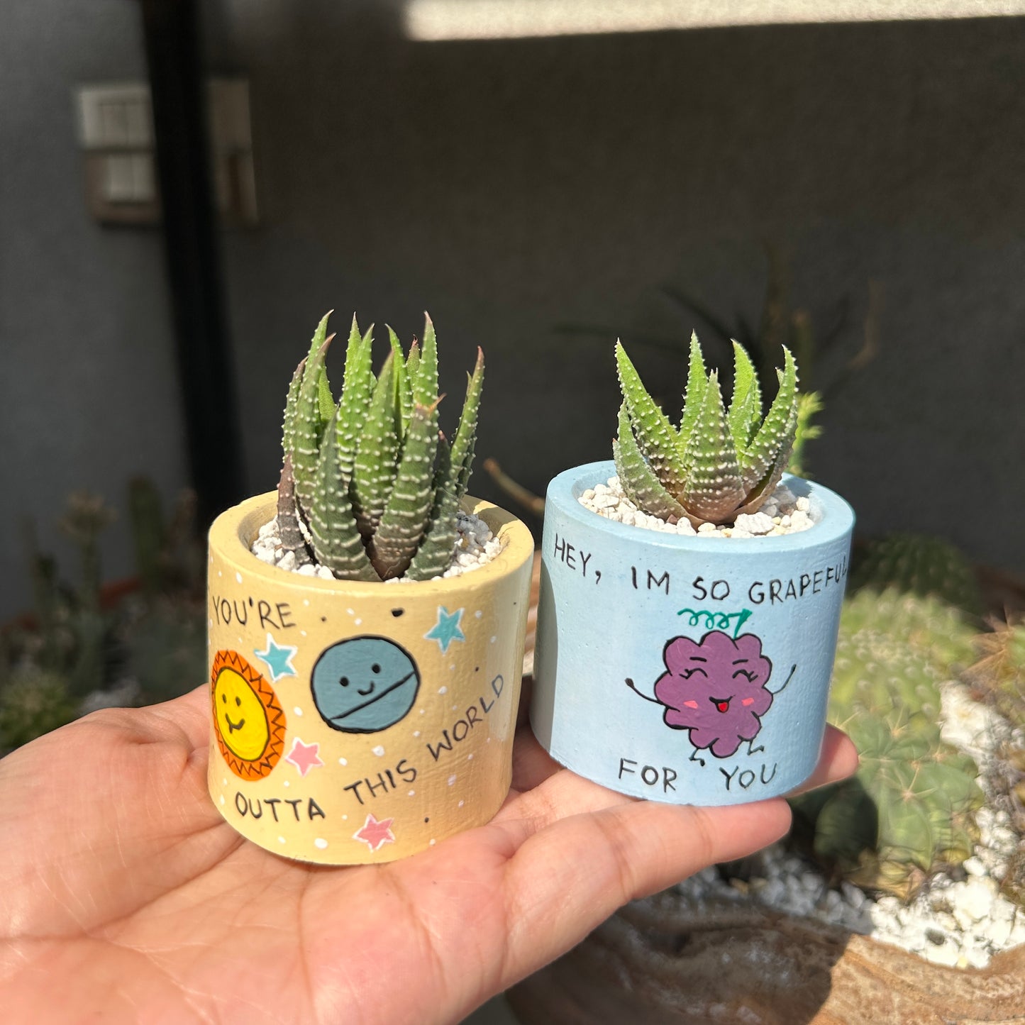 Painted Planters (Indoor Plants)