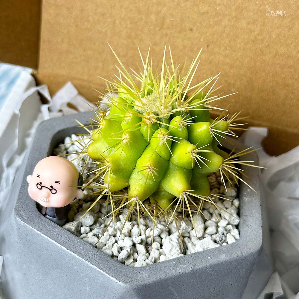Fathers's Day Gift Set