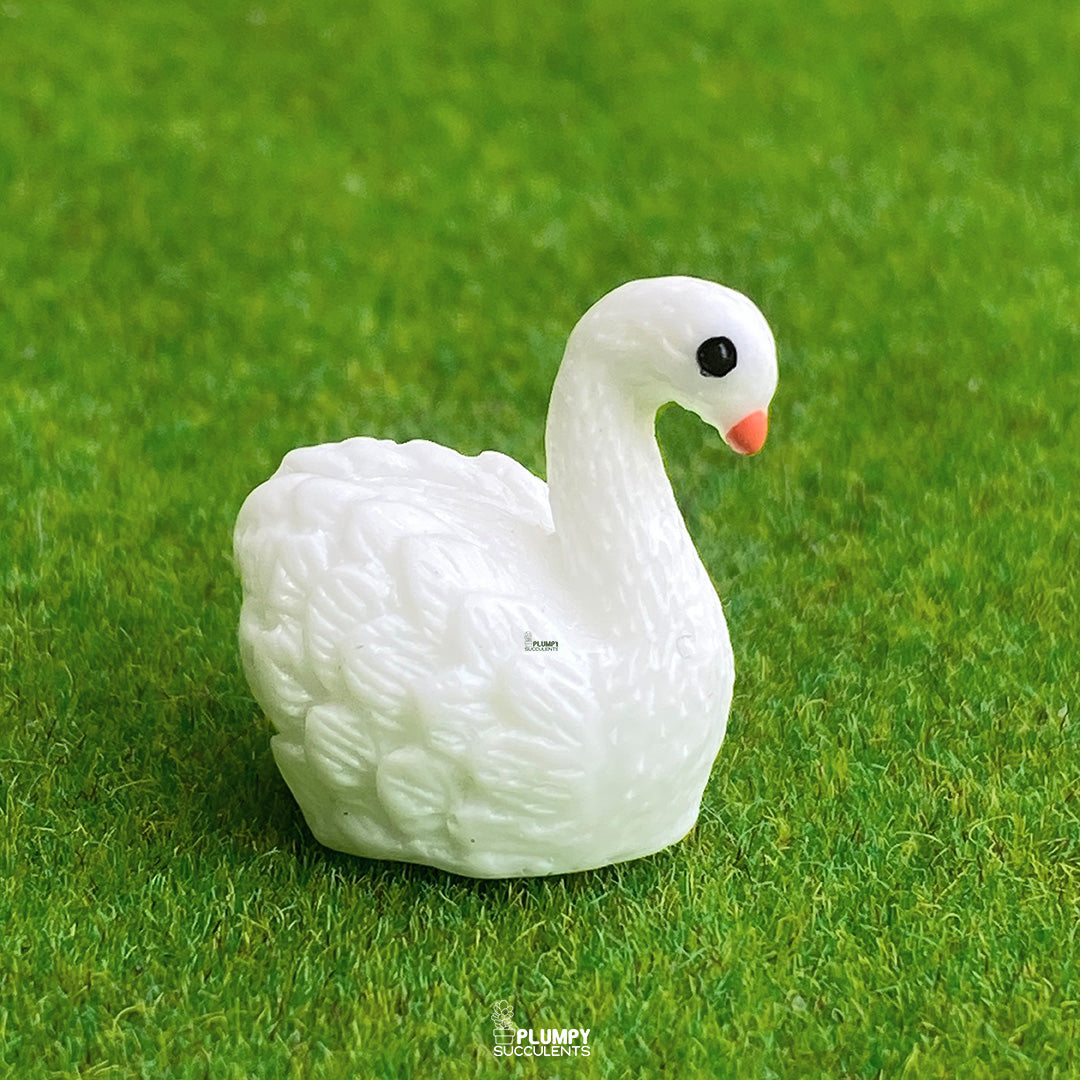 White Swan